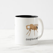 Tasse de café de drosophile (Devant droit)