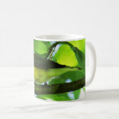 Tasse de café de fauvette de Prothonotary (Devant droit)