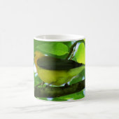 Tasse de café de fauvette de Prothonotary (Centre)