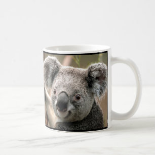 Tasse de café de koala