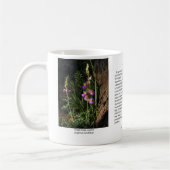 Tasse de café de loup de soude de raisin (Gauche)