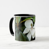 TASSE DE CAFÉ DE MAGNOLIA (Devant gauche)