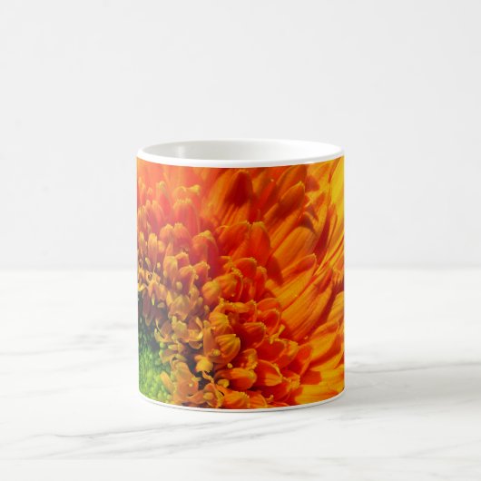 Tasse de café de marguerite orange (Centre)