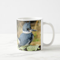 Tasse de café de martin-pêcheur ceinturé