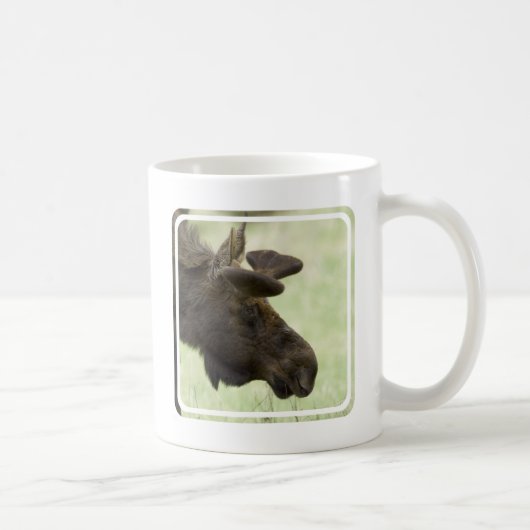 Tasse de café de photo d'orignaux (Droite)
