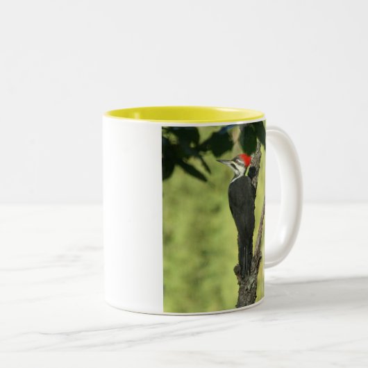 Tasse de café de pivert de Pileated (Devant droit)