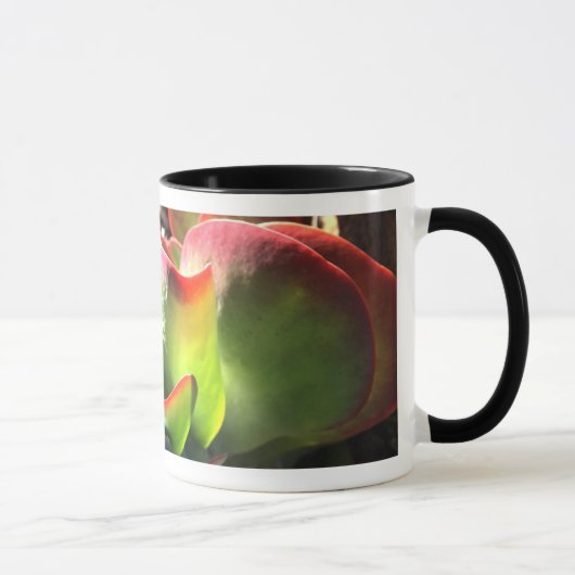 Tasse de café de plante de palette (Droite)