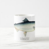 Tasse de café de poissons de saumon rouge/saumon (Centre)