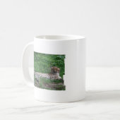 Tasse de café de repos de guépard (Devant gauche)