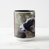 TASSE DE CAFÉ DE SHETLAND RAM - TISSERAND RÊVEUR (Centre)