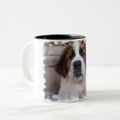 Tasse de café de St Bernard (Devant gauche)