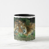 Tasse de café de tigre de Bengale (Centre)