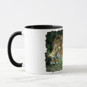 Tasse de café de tigre de Bengale (Gauche)