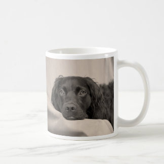 Tasse de café d'épagneul de Boykin