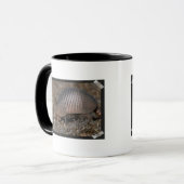 Tasse de café d'habitat de tatou (Devant gauche)