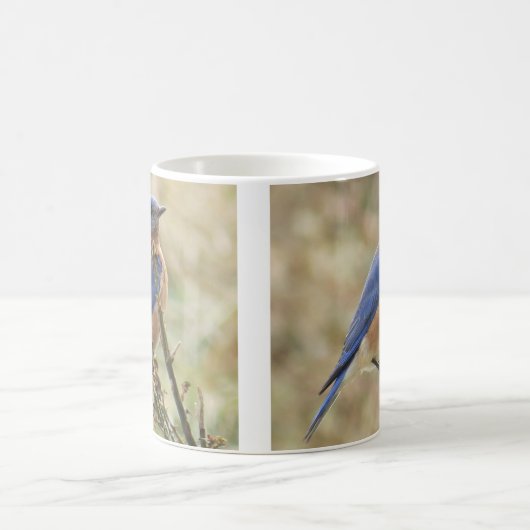 Tasse de café d'oiseaux bleus (Centre)