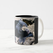 Tasse de café d'ours de Sun (Devant droit)