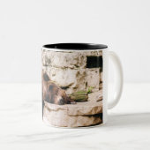 Tasse de café d'ours gris (Devant droit)