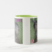 Tasse de café du sourire du kiwi (Centre)