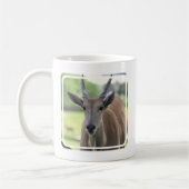 Tasse de café du sud d'éland (Gauche)