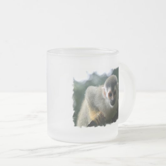 Tasse de café en verre de singe d'araignée (Devant droit)