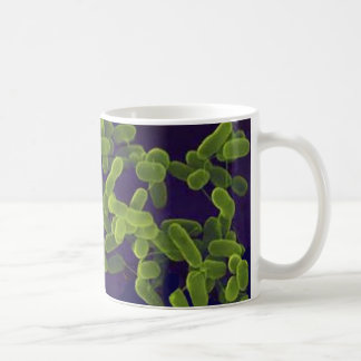 Tasse de café - Escherichia coli