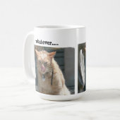 Tasse de café grincheuse de chat, quoi que…. (Devant gauche)