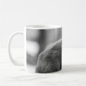 Tasse de café grise de chat (Gauche)
