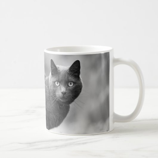 Tasse de café grise de chat (Droite)
