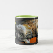 Tasse de café humoristique de chat (Centre)