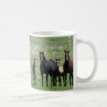Tasse de café - juments et poulains