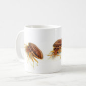 Tasse de café - lectularius de Cimex (insecte de (Devant gauche)
