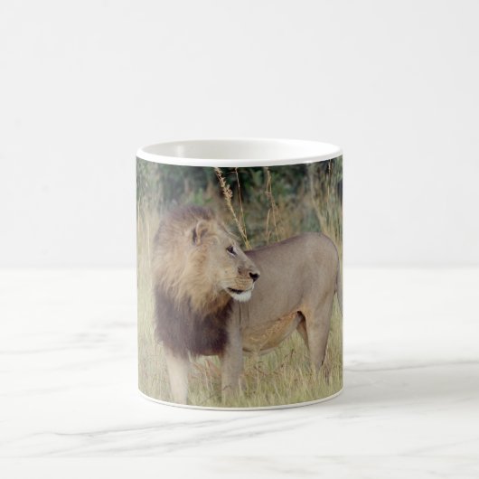 TASSE DE CAFÉ MASCULINE DE LION (Centre)