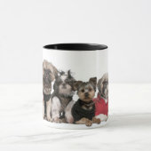 Tasse de café mignonne d'amis de chien (Centre)