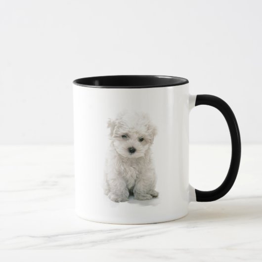 Tasse de café mignonne de Bichon Frise (Droite)