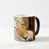 Tasse de café Morphing de tigre sibérien (Devant droit)