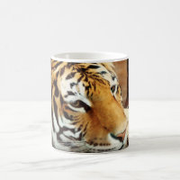 Tasse de café Morphing de tigre sibérien