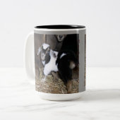 TASSE DE CAFÉ MYOTONIQUE D'ENFANTS (Devant gauche)