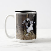 TASSE DE CAFÉ MYOTONIQUE D'ENFANTS (Gauche)