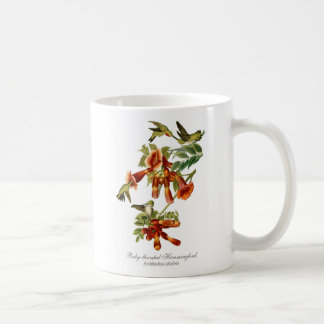tasse de café Rubis-throated de colibri