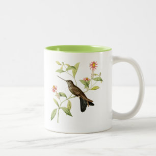 tasse de café sauvage d'oiseau de colibri