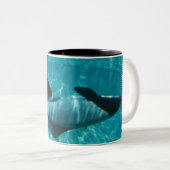Tasse de café sous-marine de baleines (Devant droit)