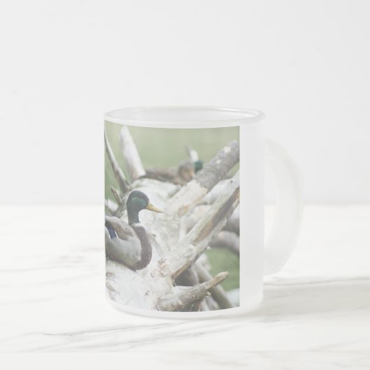 Tasse de canard (Devant droit)