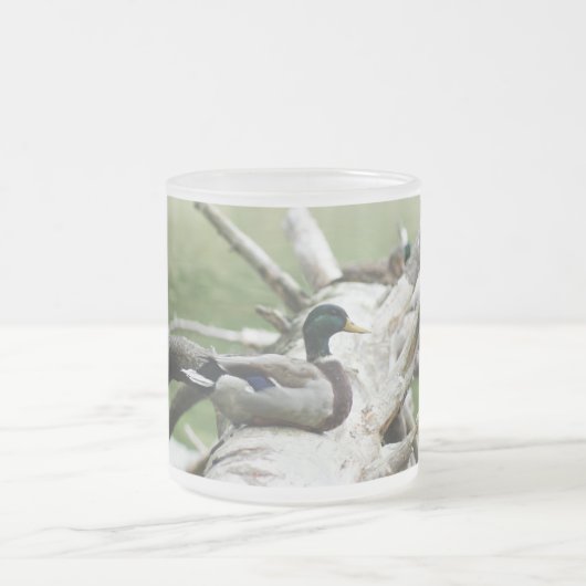 Tasse de canard (Centre)