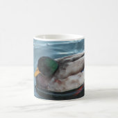 Tasse de canard de Mallard (Centre)