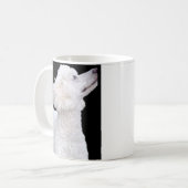 Tasse de caniche (Devant gauche)