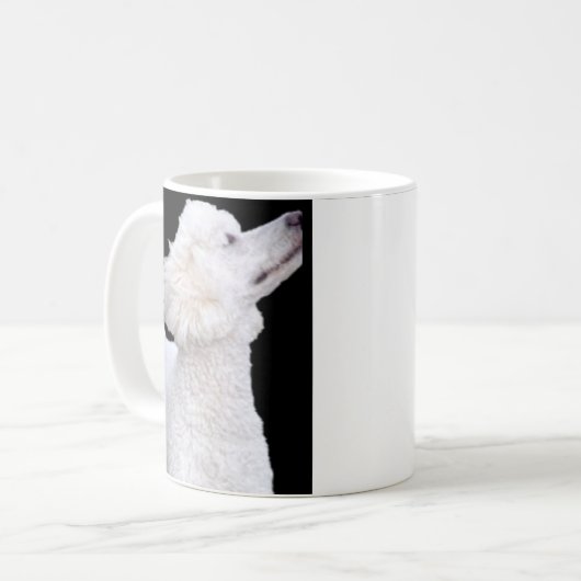 Tasse de caniche (Devant gauche)