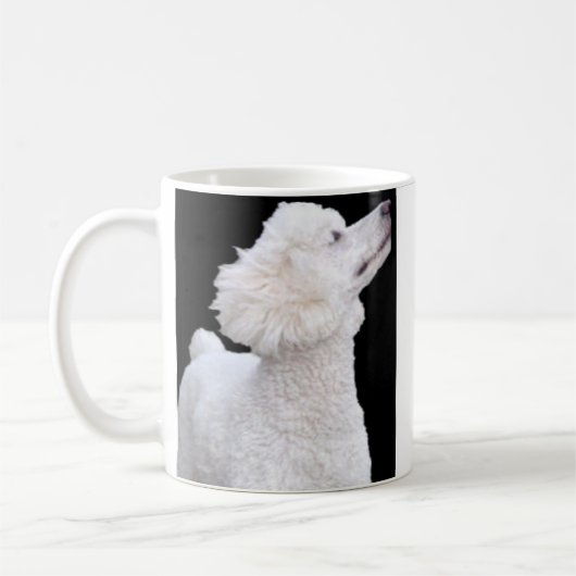 Tasse de caniche (Gauche)