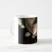 Tasse de caresse de furet (Devant gauche)