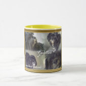 Tasse de caresses (Centre)